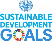 UN sustainable development goals